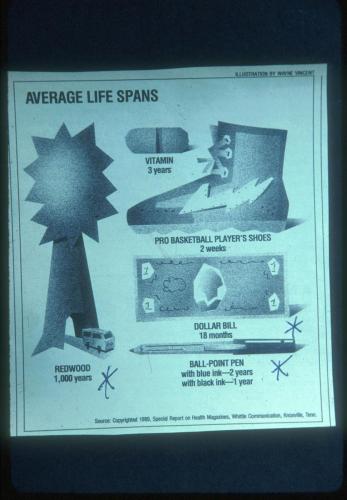 24 Average Life Spans